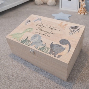 Dinosaur Memory Box: New Baby Keepsake Gift