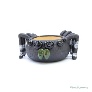 May include: Black ceramic spider planter with green and black eyes. The planter has a textured surface and is shaped like a spider with eight legs.