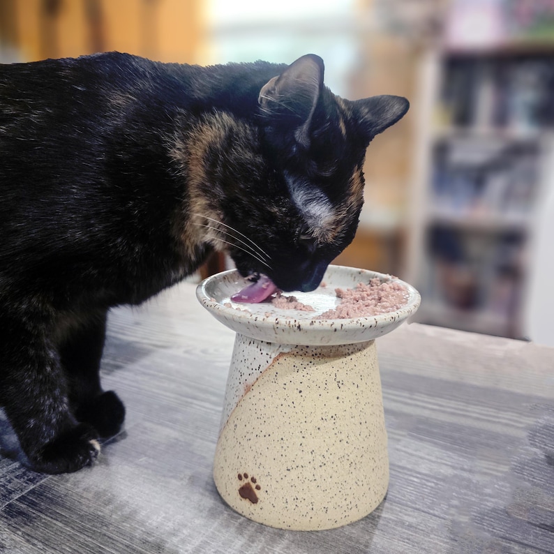 May include: A speckled ceramic cat bowl with a raised platform. The bowl is filled with wet cat food, and a tortoiseshell cat is eating from it. A paw print is on the base of the bowl.