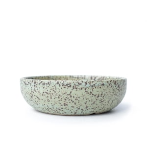 Puede incluir: Un cuenco pequeño y redondo de cerámica con un diseño moteado. El cuenco tiene un color base verde claro con motas marrones oscuras. Adecuado para servir alimentos o como pieza decorativa. Aproximadamente 15 cm de diámetro.