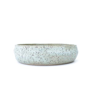 May include: A speckled, light blue ceramic bowl with a wide, shallow design. The bowl has a slightly textured surface and is dotted with small, dark brown specks. The rim of the bowl has a subtle, rounded shape.
