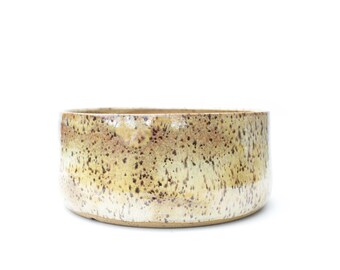6.5" Iridescent Ceramic Bonsai Pot: Speckled Stoneware Planter, Handcrafted Texas Pottery