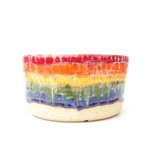 8" Rainbow Planter Pot with Drainage: Wheel Thrown Speckled Stoneware for Houseplants