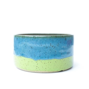 Teal Speckled Stoneware Plant Pot: Wheel Thrown Ceramic Planter (4.5&quot;)