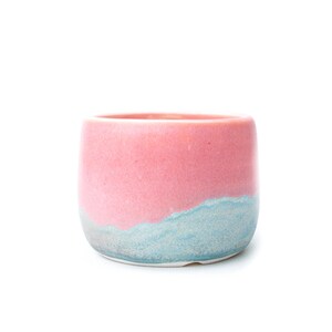 May include: A small, round ceramic planter with a two-tone design. The top half is a soft pink, transitioning to a light blue at the bottom. The planter has a smooth, glossy finish and is suitable for small plants or succulents.