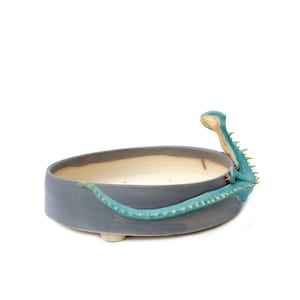 May include: A gray ceramic planter with a teal and yellow dinosaur design. The dinosaur is curled around the planter and has a long neck.