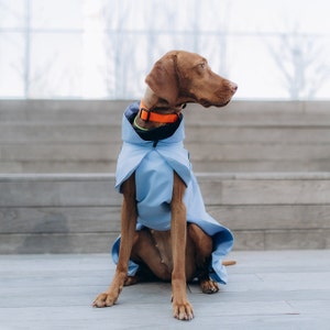 designer dog clothes
dog raincoat
large dog raincoat
rain jacket
dog gear
dog cloth
small dog clothes
raincoat
windbreaker
dog jackets
dog coat
reflective
pet clothes
dog clothes
waterproof
dog clothing
dog lover gift
dog