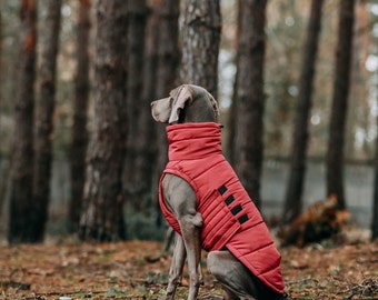 Cozy Winter Coat for Dogs - Waterproof and Windproof Winter Jacket for Dogs - Stylish Pet Clothes - Pet Clothes - Dog Lover - Gift for Dogs