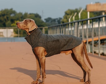 Tweed Dog Coat - Autumn Winter Dog Jacket, Fancy Dog Dress, Wool Dog Coats, Handmade Dog Jacket, Dog Gift