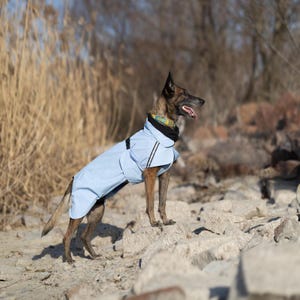 May include: A brown and black dog wearing a light blue dog coat with black trim and a black collar with a yellow and blue patterned lead. The dog is standing on rocks.
