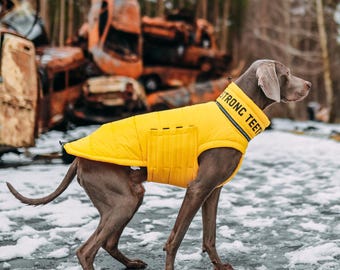 Stylish Windproof Dog Coat with Print, Warm & Cozy Dog Jacket Winter, Pet Waterproof Clothes for Dog, Great Dane Coat, Gift for Dog Lovers