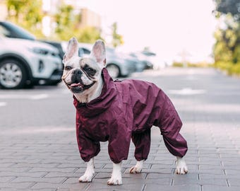 Mono impermeable para perros, mono cortavientos para perros, impermeable cómodo y moderno para perros, ropa para galgos, abrigo para perros, regalos para amantes de los perros