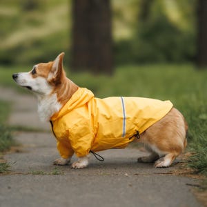 Könnte beinhalten: Ein Corgi-Hund trägt einen leuchtend gelben Regenmantel mit Kapuze und reflektierenden Streifen. Der Hund steht auf einem gepflasterten Weg mit grünem Gras und Bäumen im Hintergrund. Der Regenmantel hat einen Kordelzugverschluss.