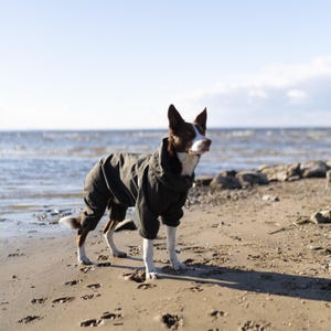 Trendy Dog Overall - Waterproof Dog Raincoat - Dog Jumpsuit - Membrane Fabric Dog Coat - Dog Clothing - Pet Clothes - Designer Dog Clothes