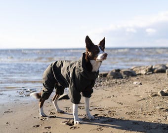 Mono de moda para perros - Impermeable para perros - Mono para perros - Abrigo de membrana para perros - Ropa para perros - Ropa para mascotas - Ropa de diseño para perros