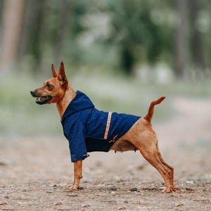 Charles river dog raincoat best sale