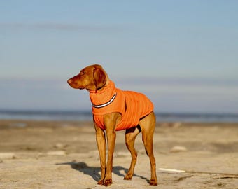 Waterproof and Windproof Winter Coat for Dog - Warm Jacket for Dogs - Stylish Pet Clothes - Vizsla Clothes - Dog Lover - Gift for Dogs