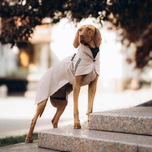 Designer Dog Clothes - Stylish Waterproof Dog Raincoat, Large Dog Clothes, Rain Dog Jacket, Dog Dress, Dog Outfit, Weimaraner Clothes
