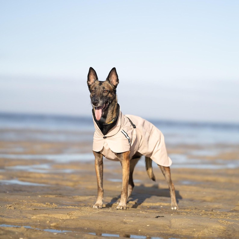designer dog clothes
dog raincoat
large dog raincoat
rain jacket
dog gear
dog cloth
small dog clothes
raincoat
windbreaker
dog jackets
dog coat
reflective
pet clothes
dog clothes
waterproof
dog clothing
dog lover gift
dog