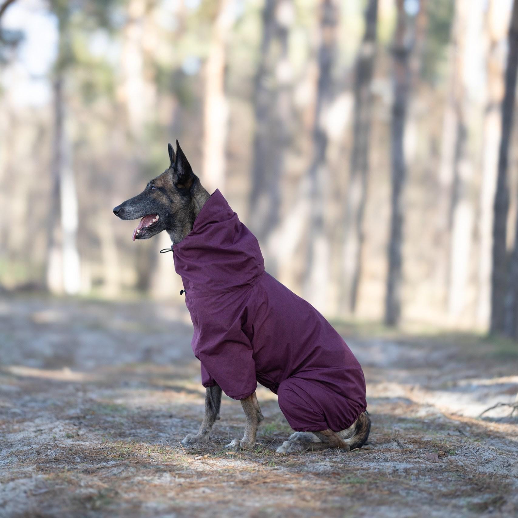 Doberman Raincoat - Etsy