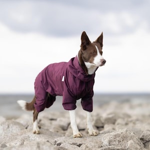 Waterproof Dog Raincoat - Dog Suit - Membrane Fabric Dog Coat - Dog Clothing - Pet Clothes - Trendy Dog Jumpsuit - Designer Dog Clothes