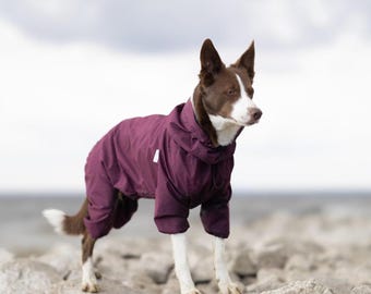 Impermeable para perros - Traje para perros - Abrigo de membrana para perros - Ropa para perros - Ropa para mascotas - Mono de moda para perros - Ropa de diseño para perros