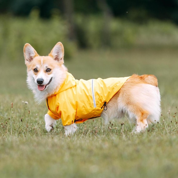 防水ダックスフンド服、コーギー用メンブレン犬用レインコート、軽量で