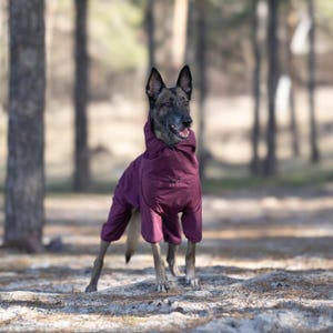 Comfortable and Trendy Dog Overall, Stylish Waterproof Dog Jumpsuit, Windproof Raincoat for Dogs, , Dog Clothes, Dog Mom Gift