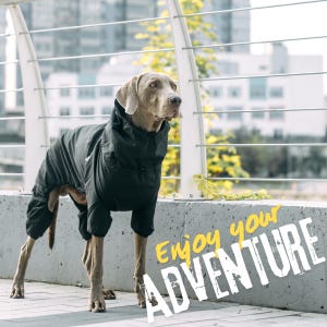 Waterproof & Windbreaker Dog Jacket - Cozy Comfortable Overalls and Trendy Dog Raincoat, Rain Protection - Designer Dog Clothes