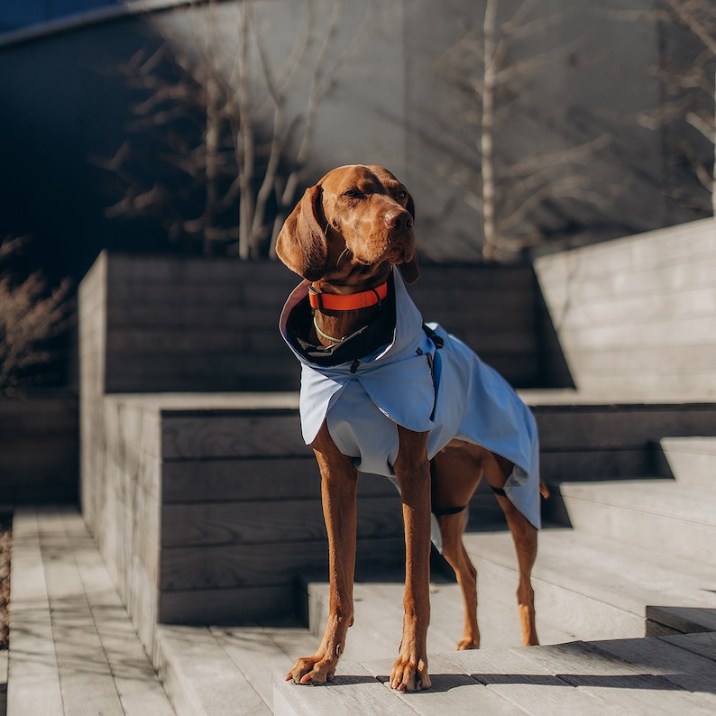 designer dog clothes
dog raincoat
large dog raincoat
rain jacket
dog gear
dog cloth
small dog clothes
raincoat
windbreaker
dog jackets
dog coat
reflective
pet clothes
dog clothes
waterproof
dog clothing
dog lover gift
dog