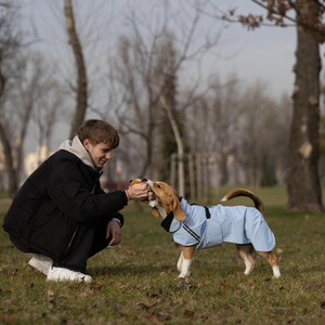 designer dog clothes
dog raincoat
large dog raincoat
rain jacket
dog gear
dog cloth
small dog clothes
raincoat
windbreaker
dog jackets
dog coat
reflective
pet clothes
dog clothes
waterproof
dog clothing
dog lover gift
dog