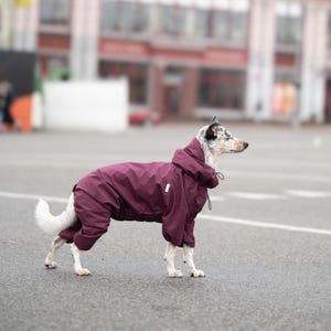 Waterproof & Windbreaker Dog Jacket - Cozy Comfortable Overalls and Trendy Dog Raincoat, Rain Protection - Designer Dog Clothes