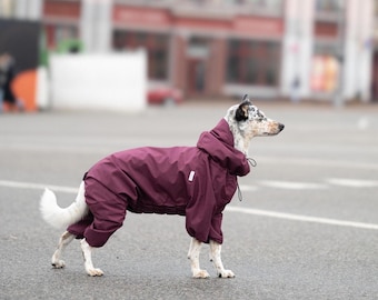 Impermeable para perros - Abrigo de membrana - Traje de cuerpo - Ropa para perros - Ropa para mascotas - Mono de moda para perros, Ropa de diseño para perros