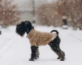 May include: A black dog wearing a beige cable-knit sweater stands in the snow. The dog is facing left, with its tail curled up. Snowflakes are falling in the background, creating a winter scene.