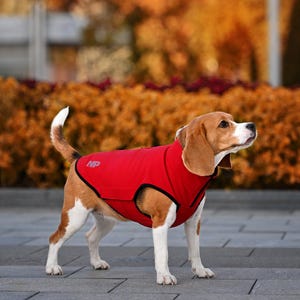 Kurtka Softshell dla psa, wodoodporna i wiatroszczelna, regulowana i odblaskowa, polarowa kurtka dla psa, stylowe ubranka dla zwierząt, prezent dla psa