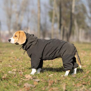 Waterproof & Windbreaker Dog Jacket - Cozy Comfortable Overalls and Trendy Dog Raincoat, Rain Protection - Designer Dog Clothes