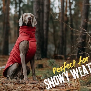 Large Dog Jackets - Warm Winter Dog Coat - Waterproof Dog Coat - Windproof Jacket for Dogs - Pet Clothes - Dog Lover - Gift for Dogs