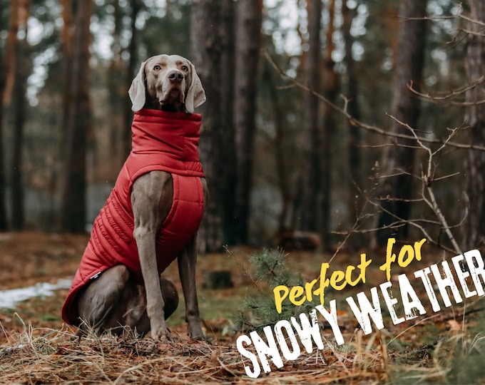 Warm Winter Coat for Dogs - Waterproof and Windproof Winter Jacket for Dogs - Stylish Pet Clothes - Pet Clothes - Dog Lover - Gift for Dogs