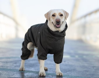Mono cómodo y cortavientos para perros de todas las razas – Body de tejido de membrana – Abrigo impermeable para perros – Ropa funcional para mascotas – Conjunto para perros
