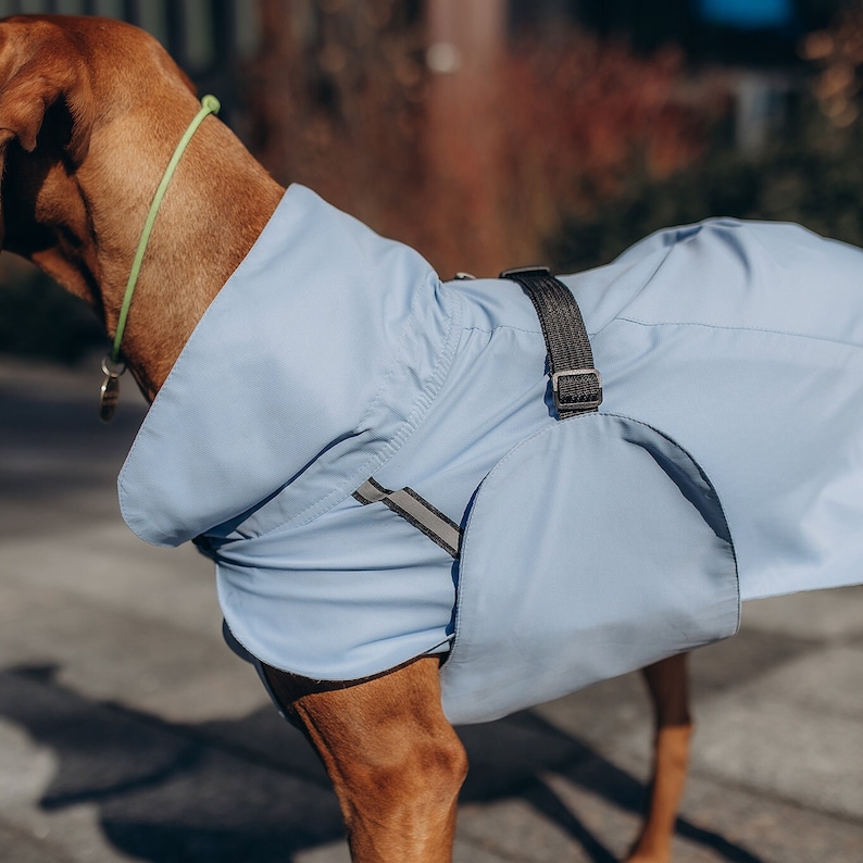 designer dog clothes
dog raincoat
large dog raincoat
rain jacket
dog gear
dog cloth
small dog clothes
raincoat
windbreaker
dog jackets
dog coat
reflective
pet clothes
dog clothes
waterproof
dog clothing
dog lover gift
dog