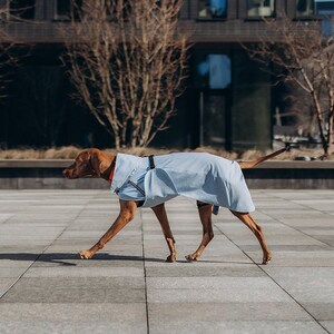designer dog clothes
dog raincoat
large dog raincoat
rain jacket
dog gear
dog cloth
small dog clothes
raincoat
windbreaker
dog jackets
dog coat
reflective
pet clothes
dog clothes
waterproof
dog clothing
dog lover gift
dog