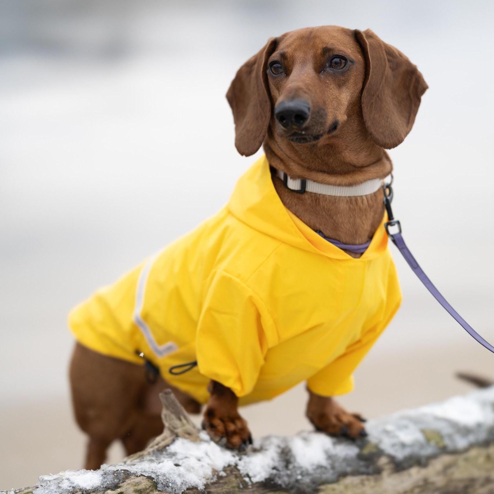 Insulated Raincoat Yellow Gf Pet Raincoat Joules GoLightly