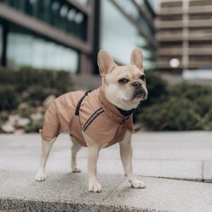 Waterproof Dog Raincoat with Reflectors - Comfortable and Stylish Dog Clothing - Frenchie Raincoat - Vizsla Coat - French Bulldog
