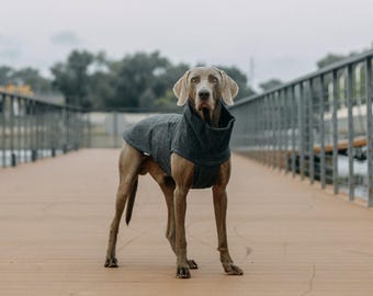 Tweed Dog Coat - Autumn Winter Dog Jacket - Stylish Dog Clothes - Fancy Dog Dress - Handmade Dog Coat - Viszla Coat - Dog Lover Gift