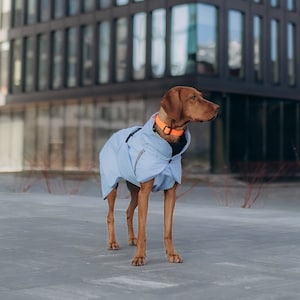designer dog clothes
dog raincoat
large dog raincoat
rain jacket
dog gear
dog cloth
small dog clothes
raincoat
windbreaker
dog jackets
dog coat
reflective
pet clothes
dog clothes
waterproof
dog clothing
dog lover gift
dog