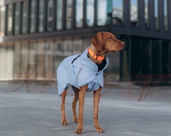 Comfortable and Stylish Dog Raincoat - Large Dog Clothes - Rain Dog Jacket - Dog Rain Coat, Greyhound Coat, Vizsla Coat, Membrane Fabric