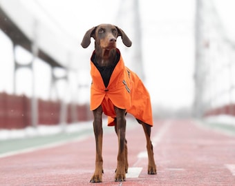 Comfortable Dog Raincoat - Clothes for Big Dogs - Rain Dog Jacket - Stylish Waterproof Raincoat for Dog, Weimaraner Coat, Dog Lover Gift