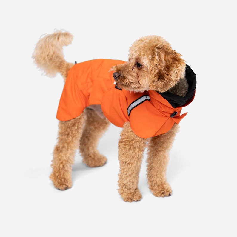 designer dog clothes
dog raincoat
large dog raincoat
rain jacket
dog gear
dog cloth
small dog clothes
raincoat
windbreaker
dog jackets
dog coat
reflective
pet clothes
dog clothes
waterproof
dog clothing
dog lover gift
dog