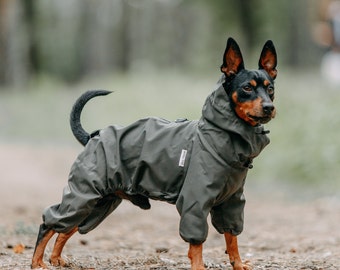 Comoda tuta integrale per cani, tuta per cani, impermeabile e antivento per cani, tuta alla moda per cani, impermeabile per cani di piccola taglia, regalo per cani