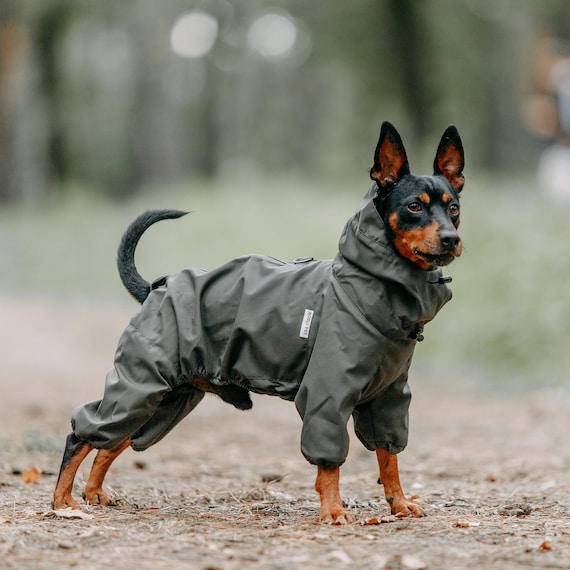 Comfortable Full Body Dog Suit, Overall for Dogs, Waterproof & Windbreaker  Dog Raincoat, Trendy Dog Jumpsuit, Designer Dog Clothes, Dog Gift - Etsy